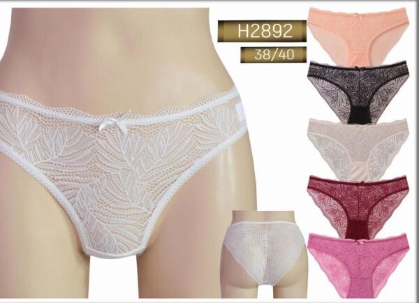 Dantelli Somon Slip Külot