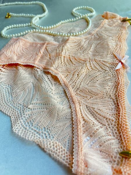 Dantelli Somon Slip Külot